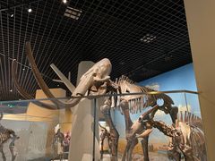 -国家自然博物馆