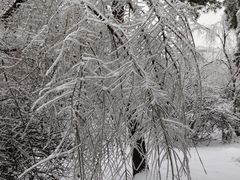 -长春公园(普阳街道)