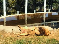 -西安秦岭野生动物园