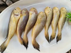 -梅子大排档
