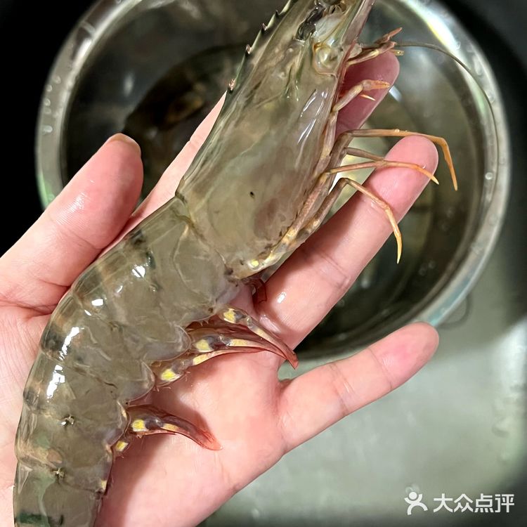 这虾～手掌这么大[惊讶]