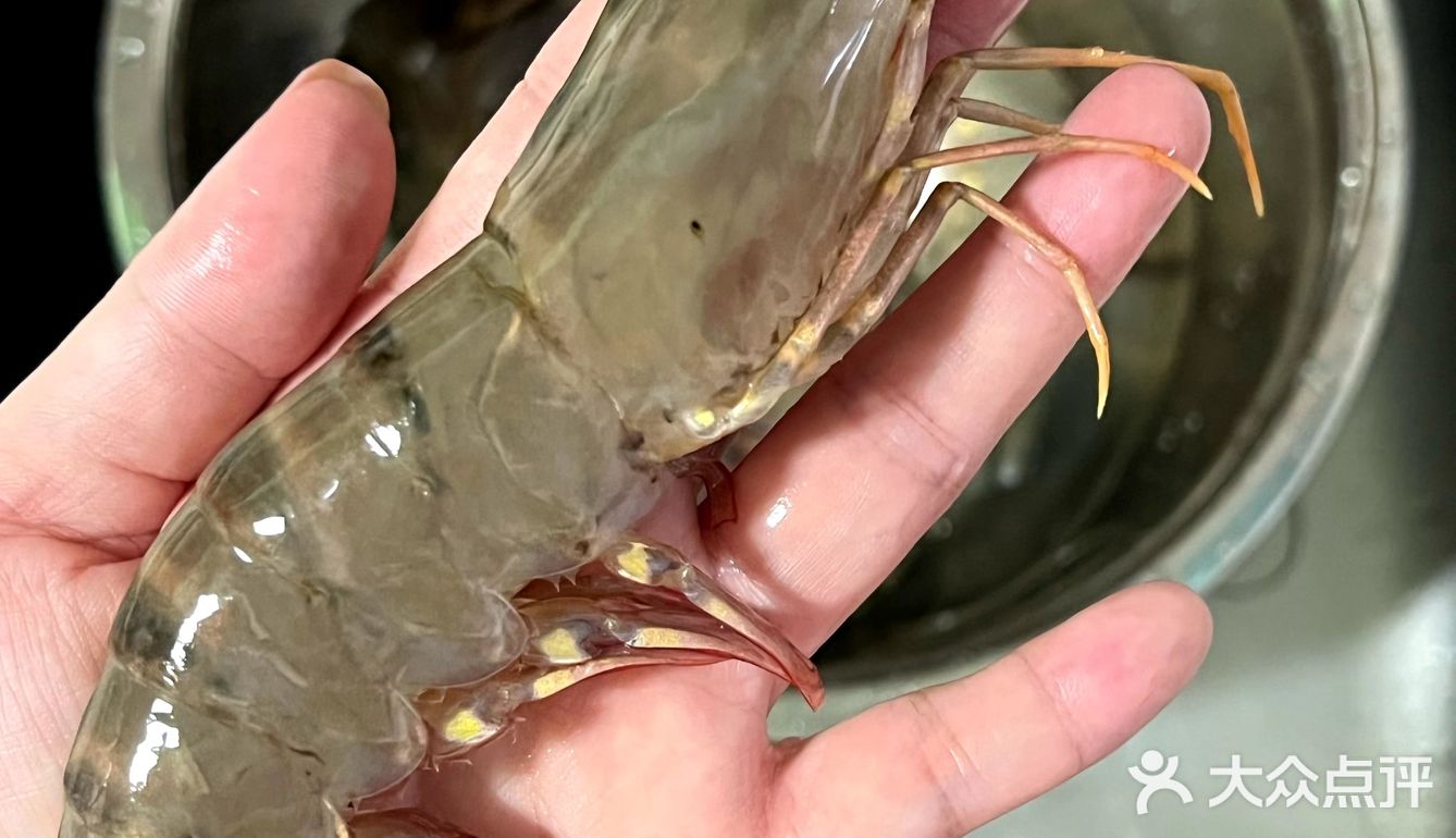 这虾～手掌这么大[惊讶]