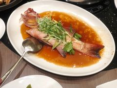 东星斑-协成海鲜火锅(海洋花园店)