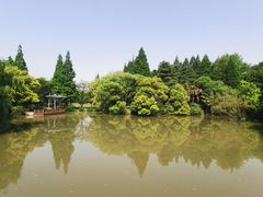 -上海滨江森林公园