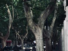 -小桃园餐厅