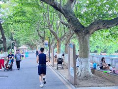 -花溪公园