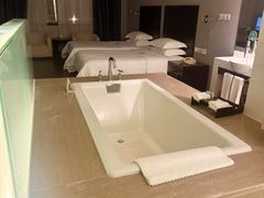 -南美元生态大酒店(海珠店)