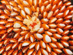 -水哥卜卜贝(东晓·胜汇里店)