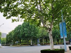 -南京奥林匹克体育中心-体育馆