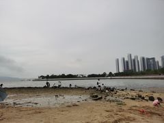-深圳湾公园(南山区)