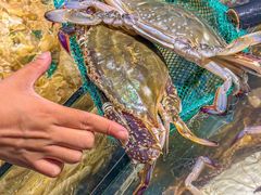 -黄龙海鲜大排档(杭州总店)