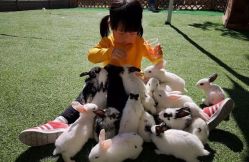 -萌宠亲子动物乐园(槐房万达店)