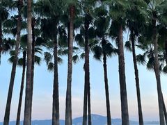 -白城沙滩