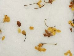 -阮大兴糕团(杭州西湖银泰百货店)