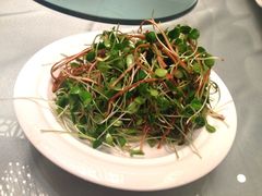 豆苗-贵州大厦贵州厅(樱花园西街店)