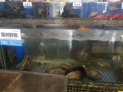 -欢乐海岸美食联盟