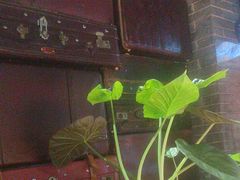 -798餐厅(任丘路店)