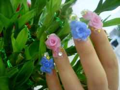 SL370709-浪漫美甲美睫