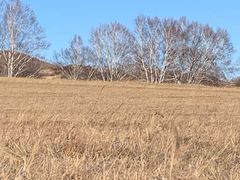 -塞罕坝国家级自然保护区