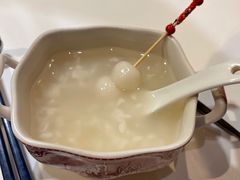 -西郊5号·Maggie 5