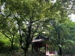 -汇龙潭