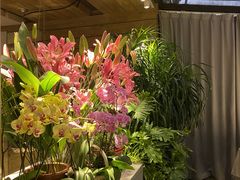 -春暖花开(西溪店)