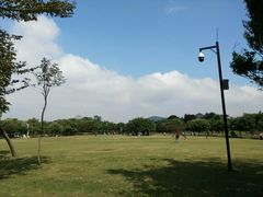 放飞坪-大沙河公园