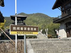 -大唐贡茶院