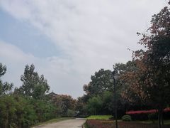 -西安乐游原