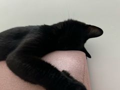 -鹤祥宫·影院足道·SPA连锁(沙井店)