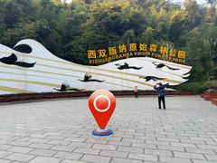 -西双版纳原始森林公园