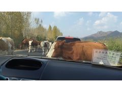 -塞罕坝国家级自然保护区