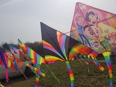 -洨河生态公园
