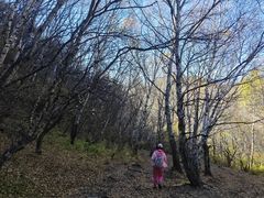 -灵山