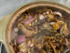 招牌胡须佬鸡煲-胡须佬鸡煲四季火锅店(石厦西村直营店)