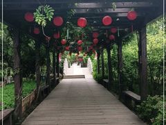 -白马涧龙池景区
