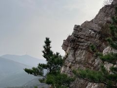 -金龙寺国家森林公园