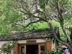 -村上春树