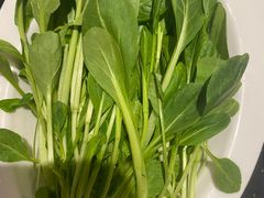 -南门涮肉(通州大船店)