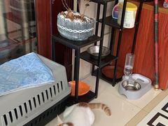 -龚家花园农家乐休闲别墅