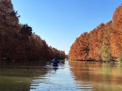 -上海海湾国家森林公园