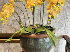 -陶陶居酒家(第十甫路总店)