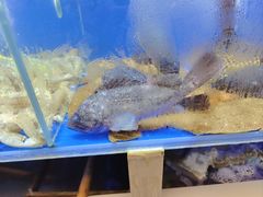 -船梆煮•蒸汽海鲜·生腌干蒸(五四广场店)