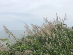-六合朝阳景区-和尚套
