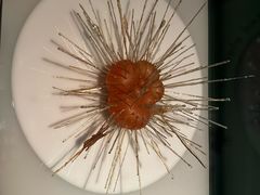 -墨尔本博物馆(Melbourne Museum)