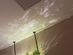 -华夏良子·足道SPA艾灸(王府井店)