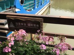 -大湾区中央湿地公园