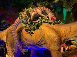 点击看大图 -恐龙探索乐园(磁器口店)