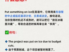 -引领英语·成人口语·雅思托福