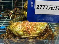 -阿毛饭店首店·宁波老字号(文化广场店)